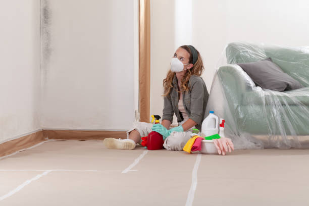 Reliable Mold Remediation contractor in Scotch Plains, NJ by WQB Mold Removal